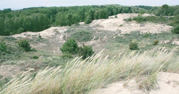 EDEN 62 - Milieux dunaires, Baie de Canche EDEN 62 - Milieux dunaires, Baie de Canche
